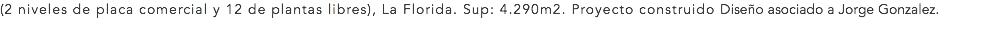 (2 niveles de placa comercial y 12 de plantas libres), La Florida. Sup: 4.290m2. Proyecto construido Diseño asociado a Jorge Gonzalez.
