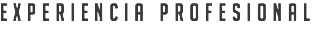 EXPERIENCIA PROFESIONAL